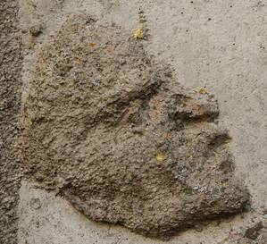 Quelle: © VG Bild und Kunst, Bonn, Foto: Norbert Kasper