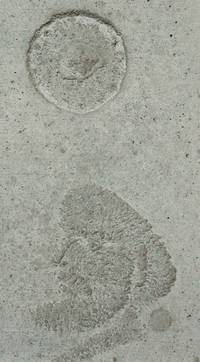 Quelle: © VG Bild und Kunst, Bonn, Foto: Norbert Kasper