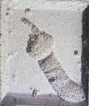 Quelle: © VG Bild und Kunst, Bonn, Foto: Norbert Kasper